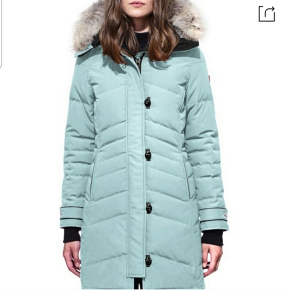 canada goose tei 3